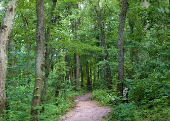 Rectangle 34624987 (14)